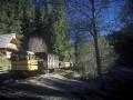 Mircea Verghelet forest train