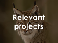 tl_files/carpathiancon/Downloads/02 Activities/Large carnivores/edited/Lynx Relevant projects.png