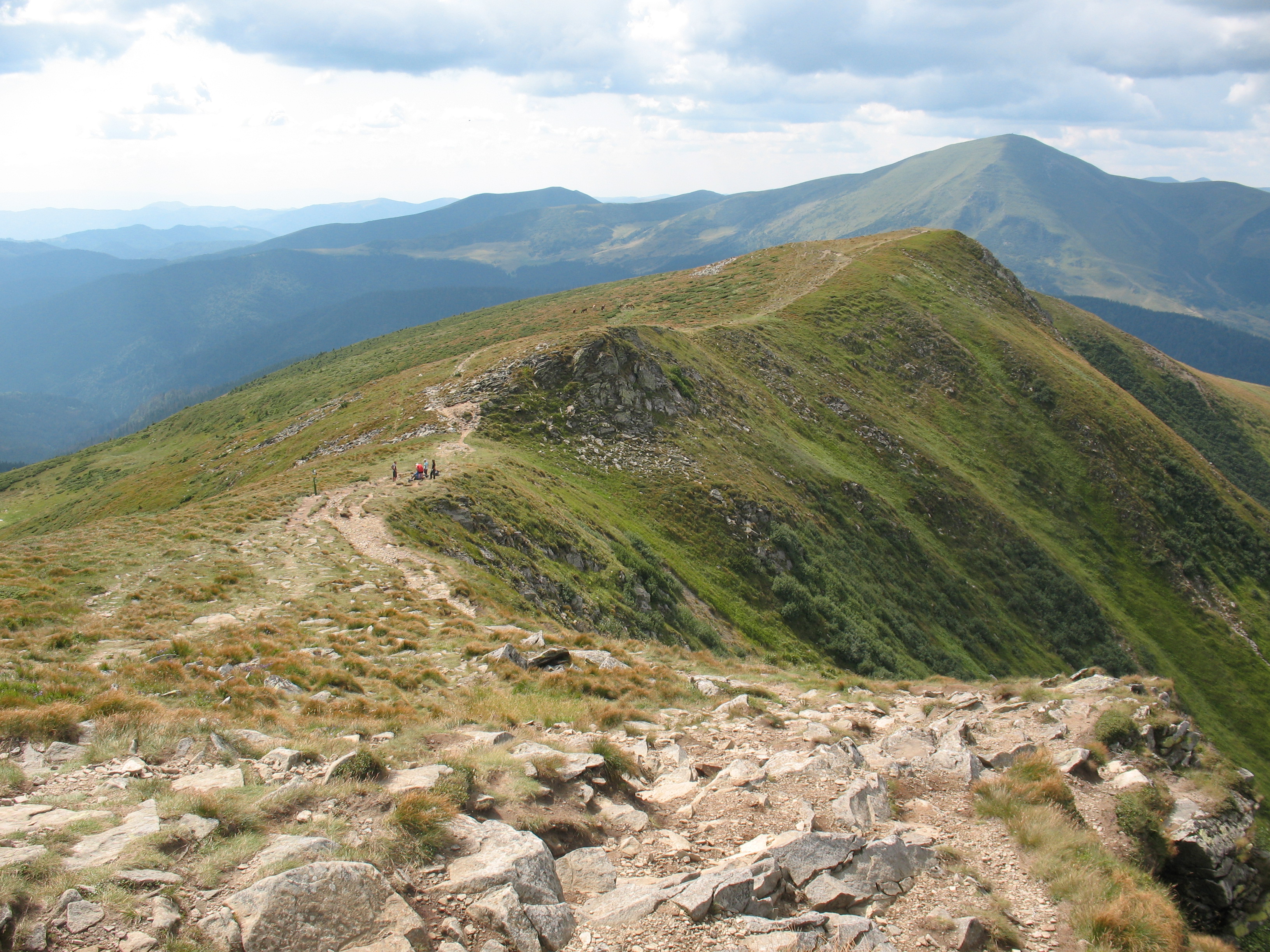 tl_files/carpathiancon/Downloads/Banner pictures/mountain path to Goverla, UA_N.Shovkoplias.JPG