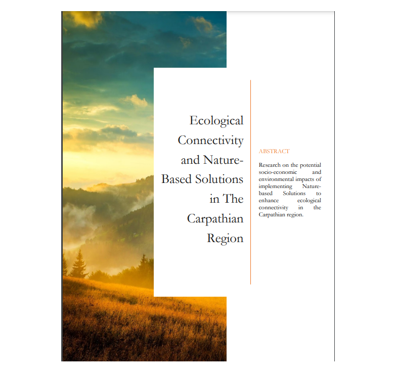 Ecological Connectivity and Nature Based Solutions in the Carpathian Region – report by students from the Geneva Graduate Institute