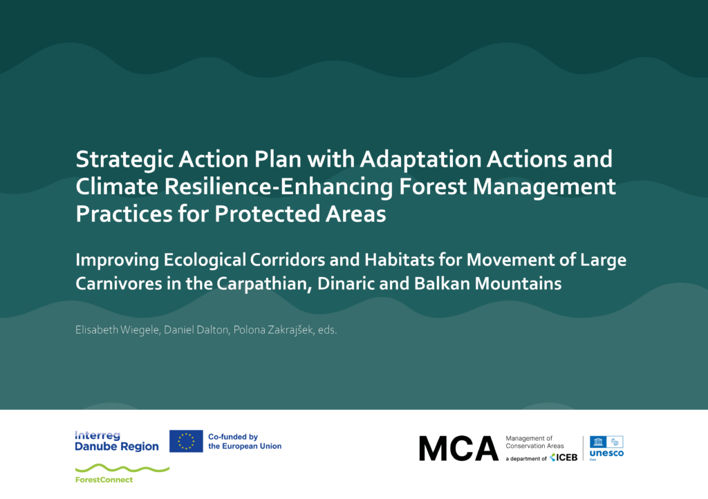 Strategic Action Plan for Climate-Smart Forest Connectivity Published