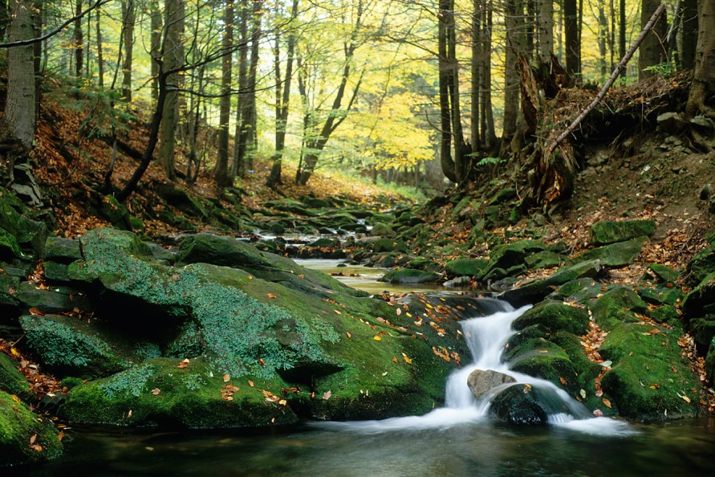 Waters 2040 Conference: Climate Change and Resilient Water Management in the Danube Catchment