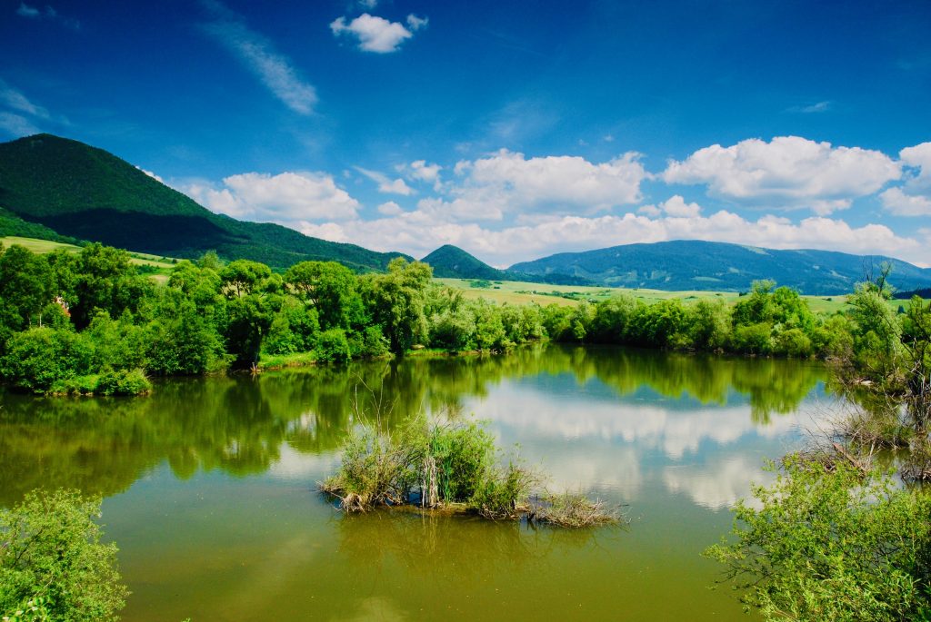 Applications Open: International Training Course on Wetland Restoration in the Context of Climate Change